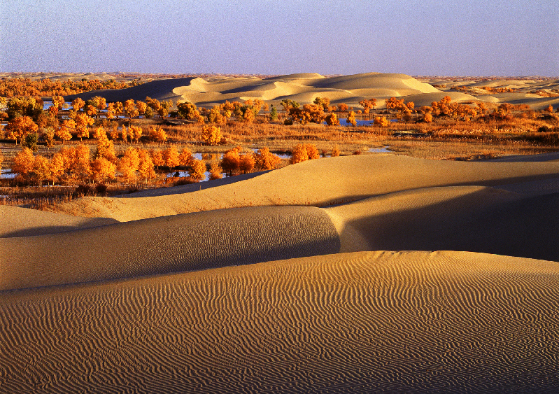 罗布人村寨风景名胜区图册_360百科