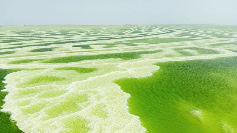 中国最大的天空之镜——察尔汗盐湖（图）_国家旅游地理_探索自然 传播人文 愉悦身心